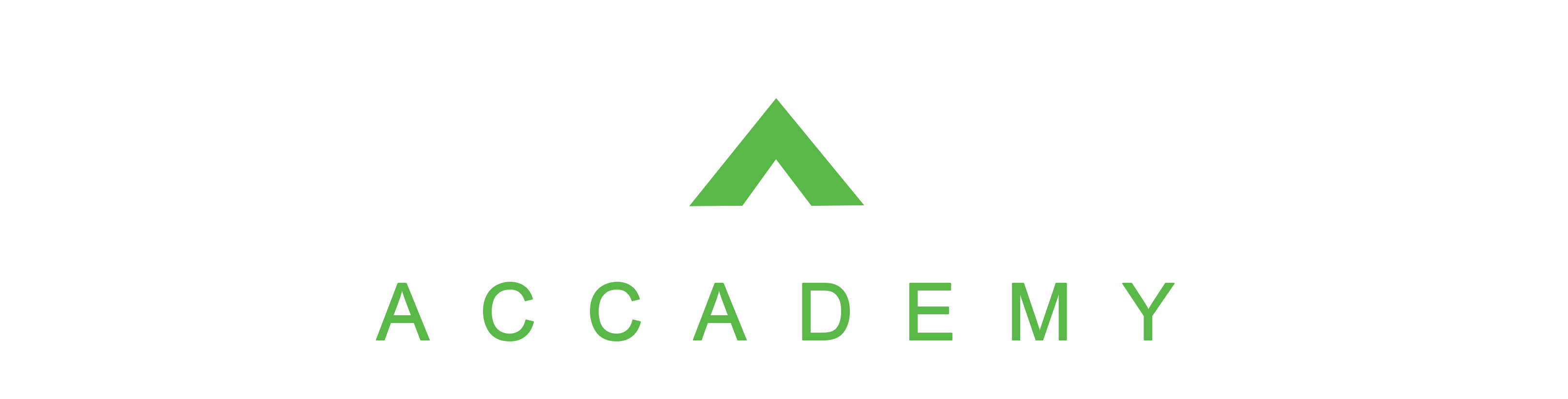 NEXUS Academy Logo